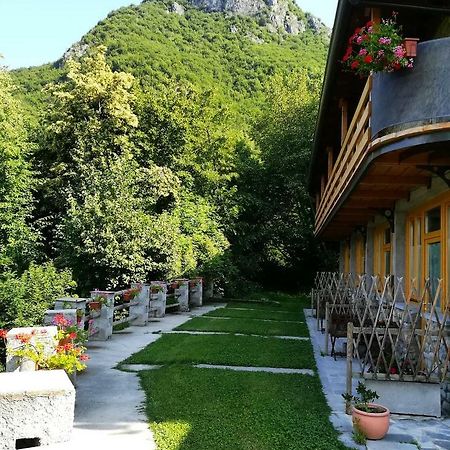 Agriturismo La Selvaggia Манделло-дель-Ларіо Екстер'єр фото