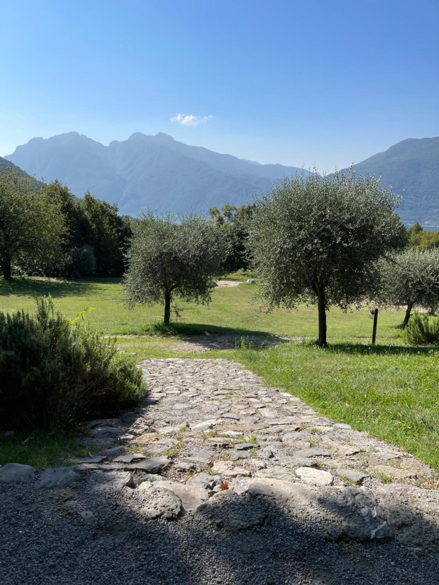 Agriturismo La Selvaggia Манделло-дель-Ларіо Екстер'єр фото